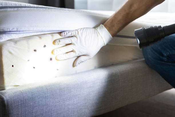 Best Pest Prevention Services  in Newpt, OR