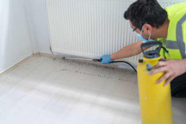 Best Pest Inspection Near Me  in Newpt, OR